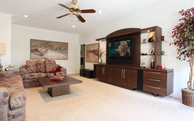 Entertainment Centers and Furniture